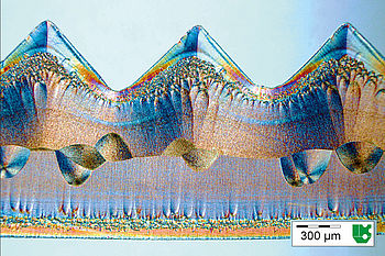 Mikrotomdünnschnitt einer POM-Zahnstange