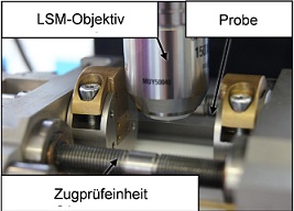 Rissuntersuchung im Laserscanningmikroskop (LSM)